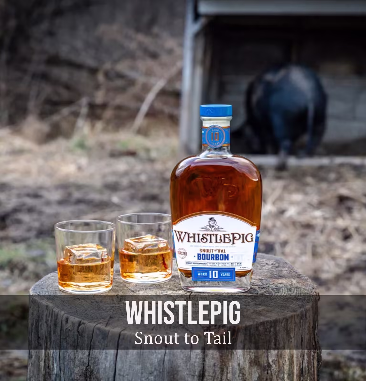 WhistlePig Snout to Tail 10 Year Old Toasted Bourbon Whiskey