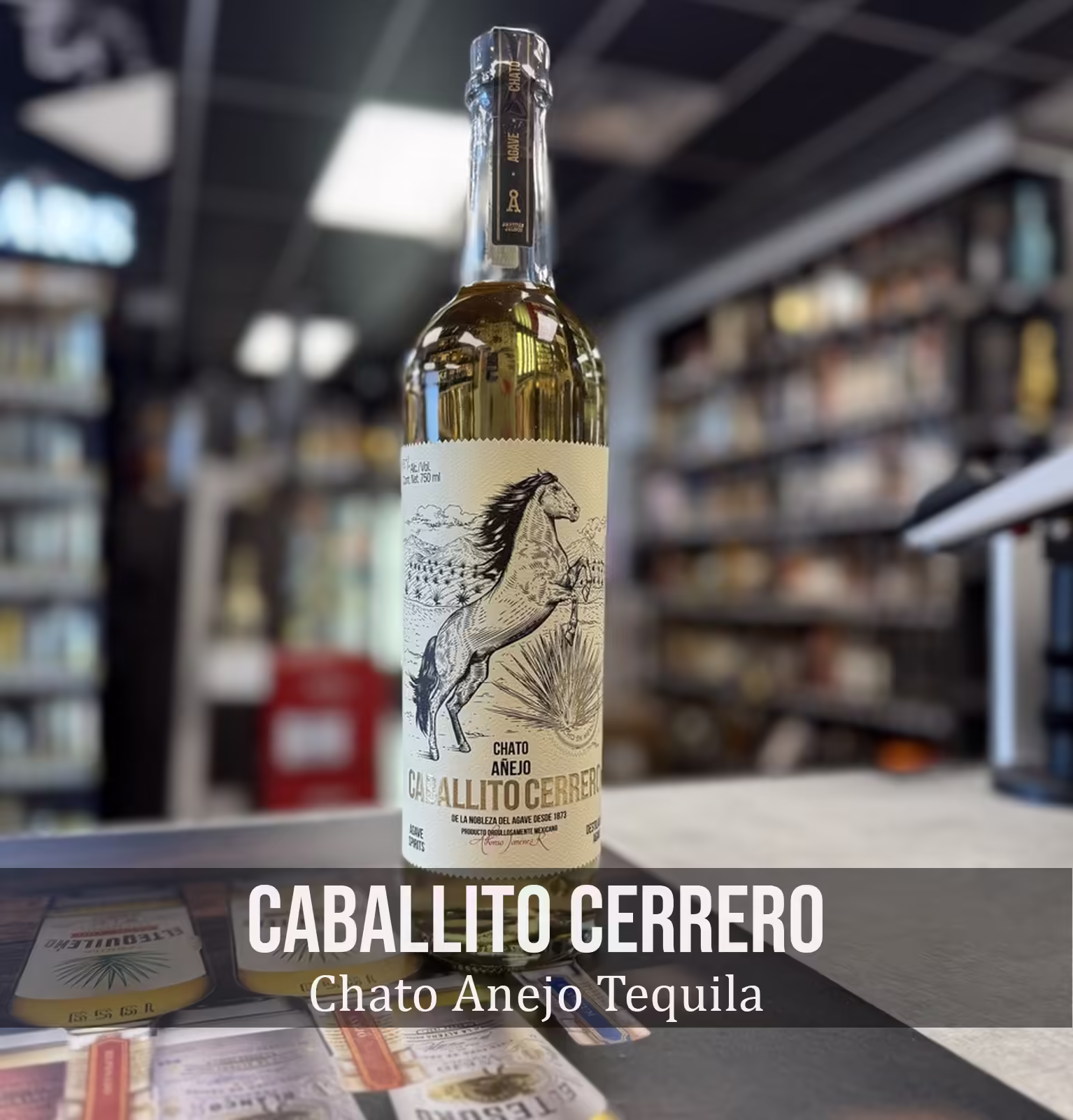 Caballito Cerrero Chato Anejo Tequila